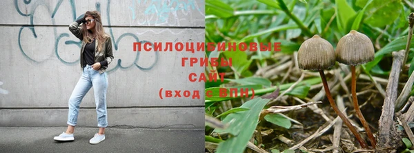бошки Бронницы