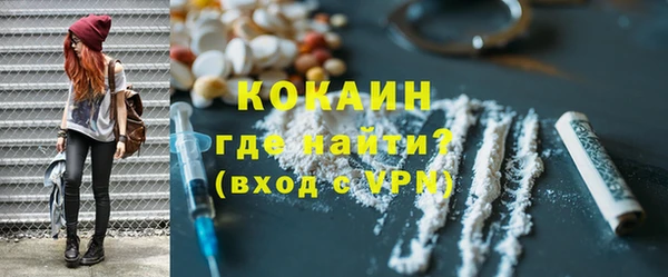 дживик Вуктыл