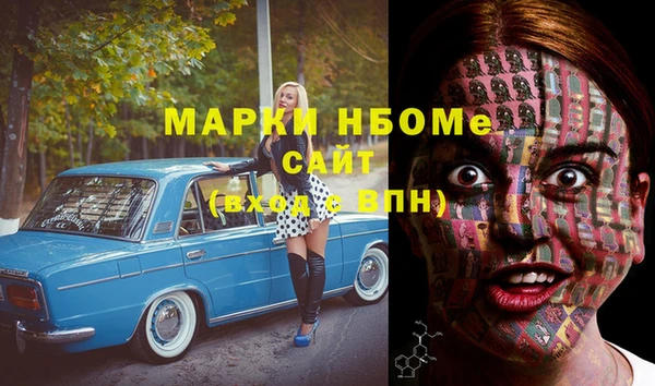 бошки Бронницы