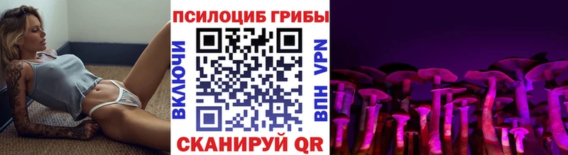Галлюциногенные грибы Psilocybe Минеральные Воды