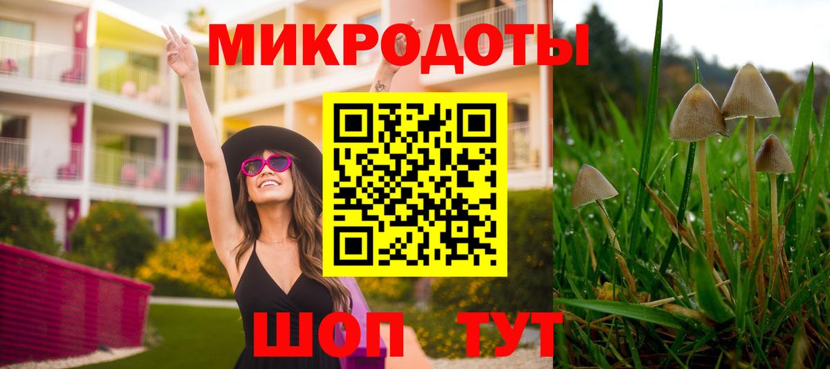 Галлюциногенные грибы GOLDEN TEACHER Минеральные Воды
