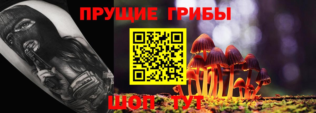 Псилоцибиновые грибы Cubensis  Галлюциногенные грибы прущие грибы  Минеральные Воды  Вход с VPN 